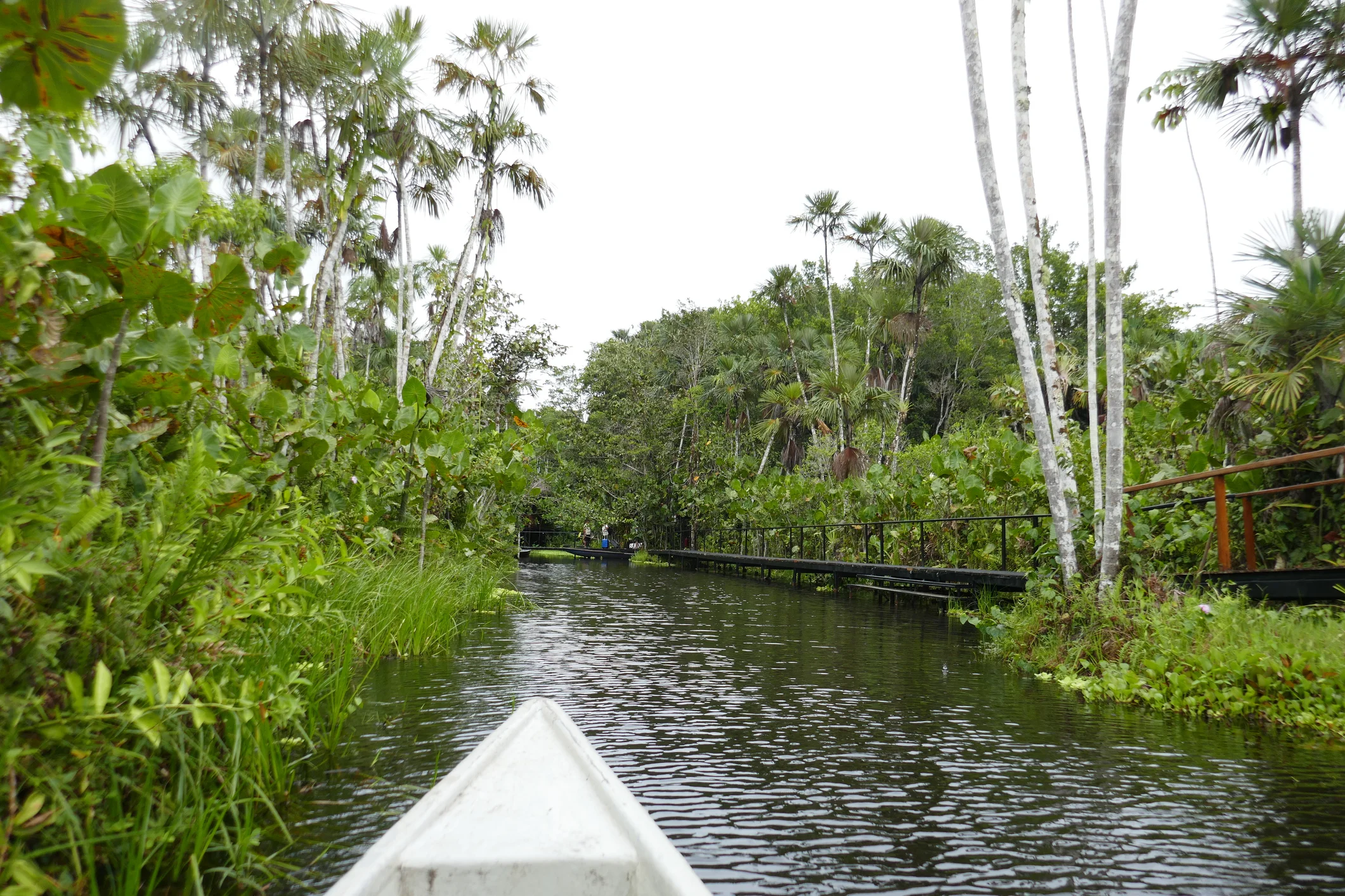 Ecuador
