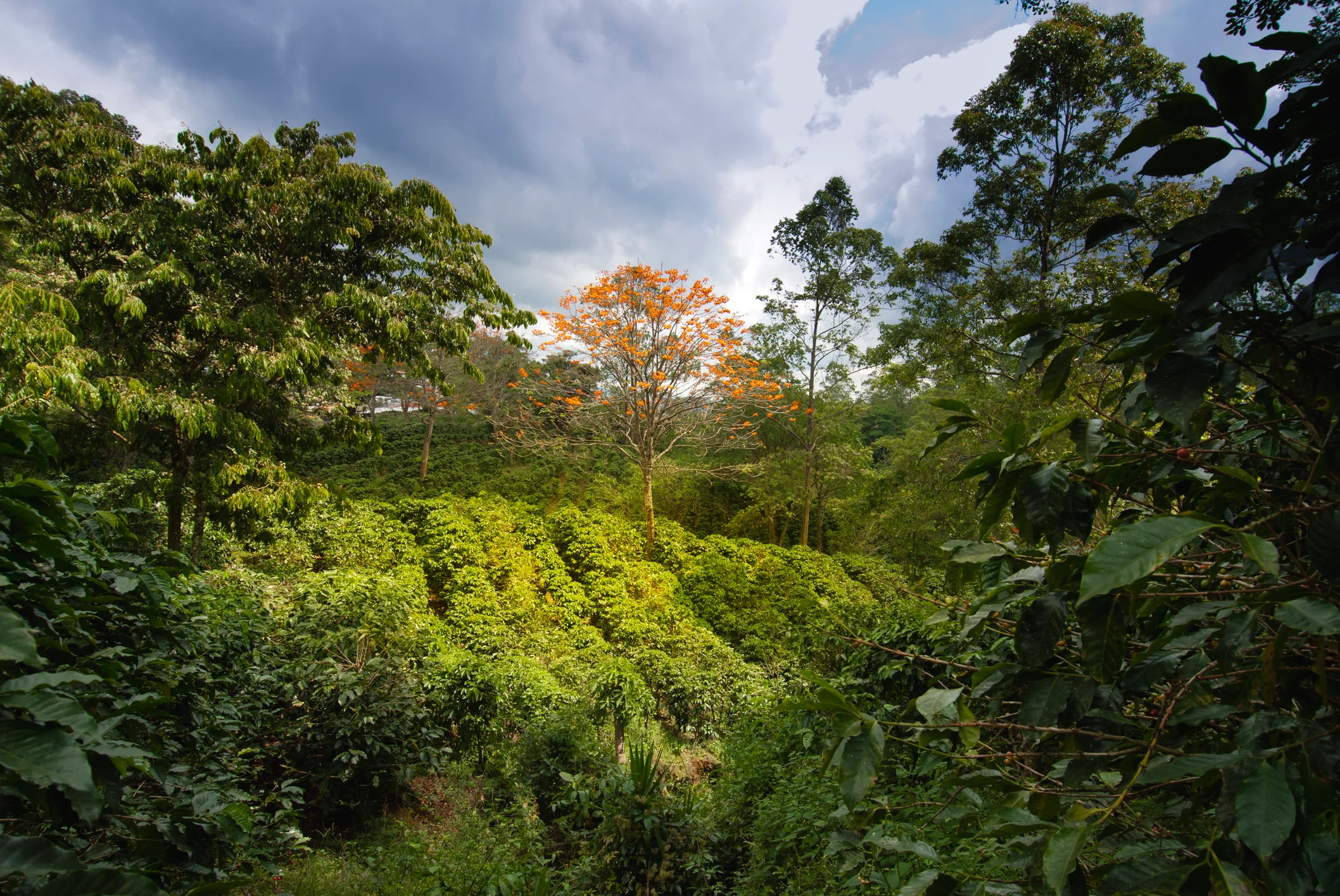 Costa Rica